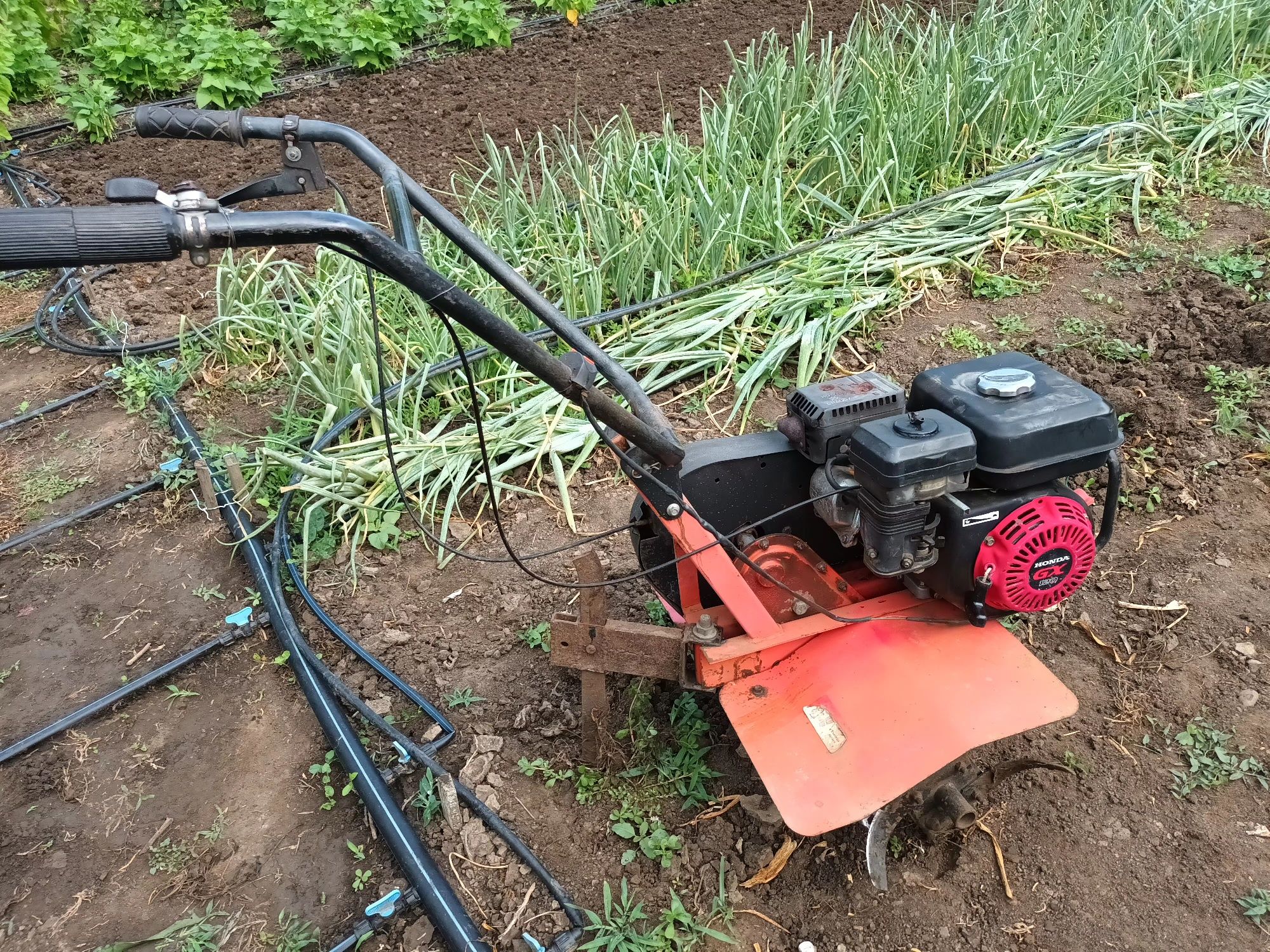 Motosapa 6,5 cp.pret   7500 lei