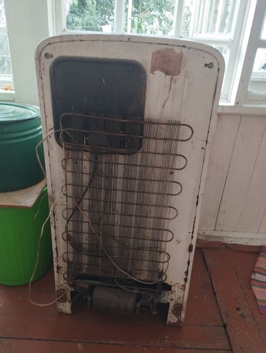 Днепр халаделник