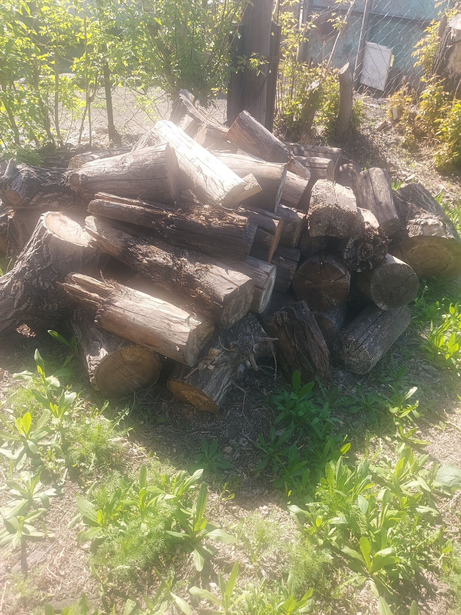 Продам дрова, доски, бревна.