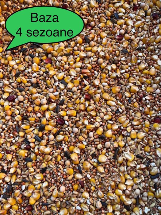 Hrana porumbei / Amestec cereale