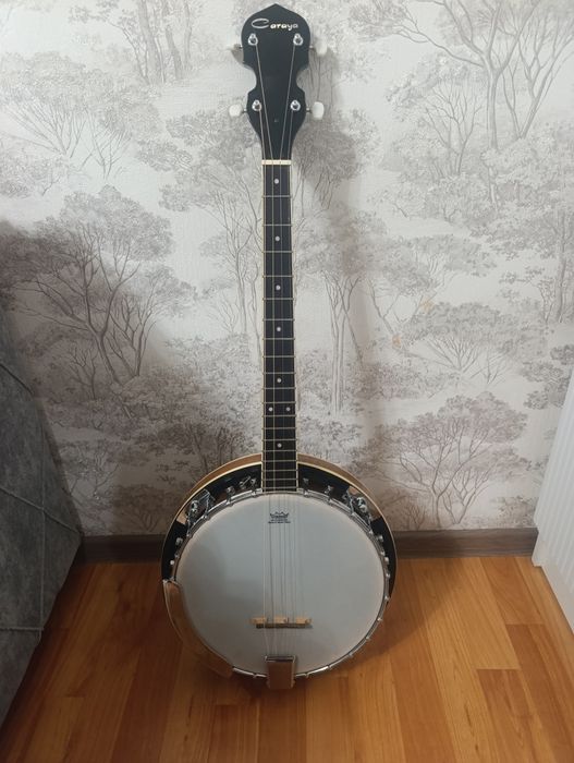 Банджо инструмент