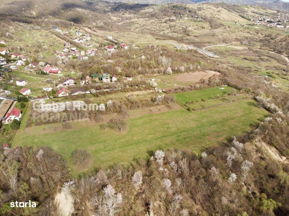 Mountain Plateau - 23.345 SQM - Exclusive Estate | Jud Prahova - Valea