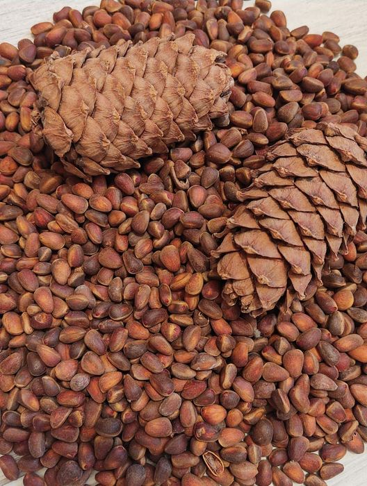 Орех кедровый в магазине Таёжные травы