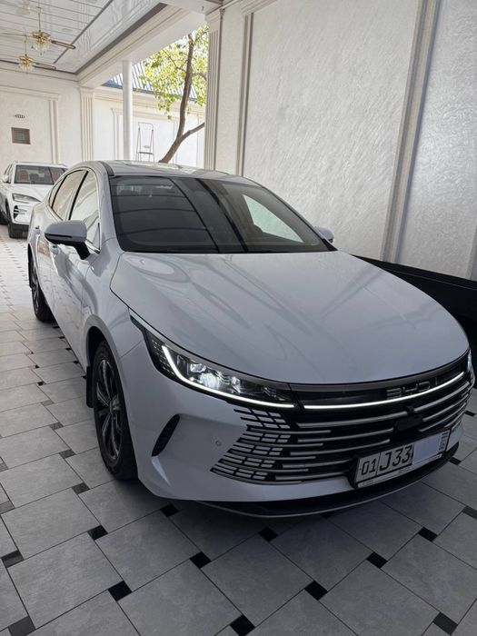 Byd chazor 4 pazitsiya