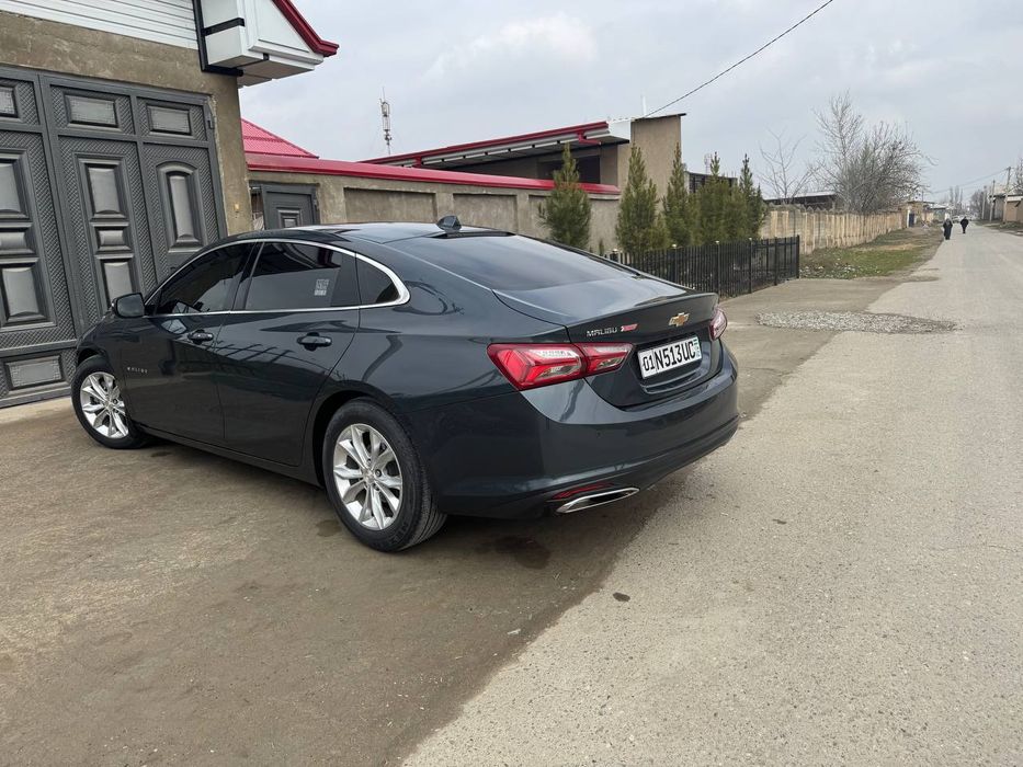 Ma'lebu piremir turbo