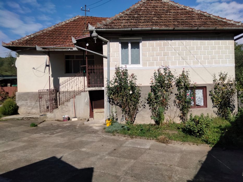 Doua case in temesesti