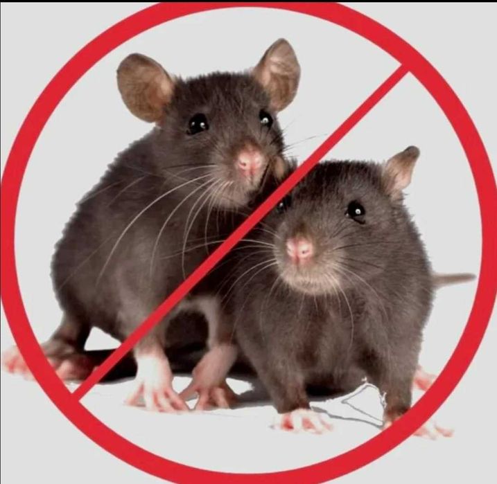 Бытовая химия д.е.з.и.н.ф.е.к.ц.и.я мыши крысы тараканы клопы туман