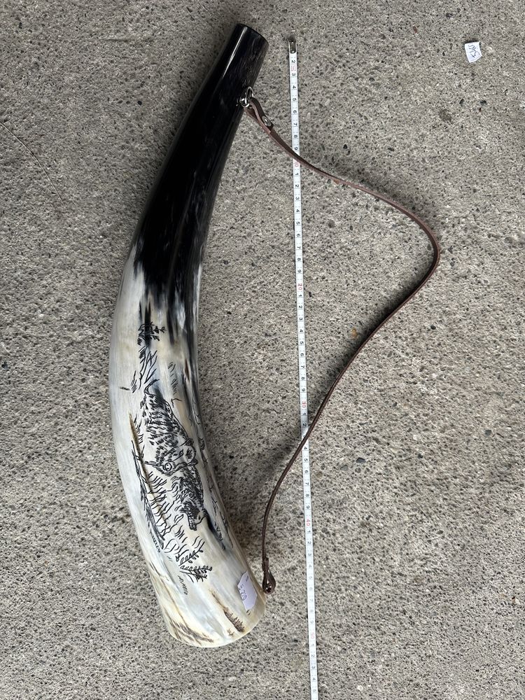 Coarne Lupta Viking , Coarne de baut , corn dr taur