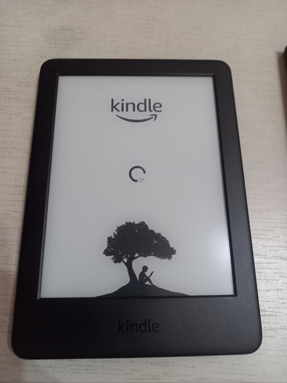 Book reader. Kindle firmanikk