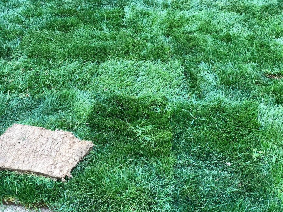 Gazon landshftniy dizayin