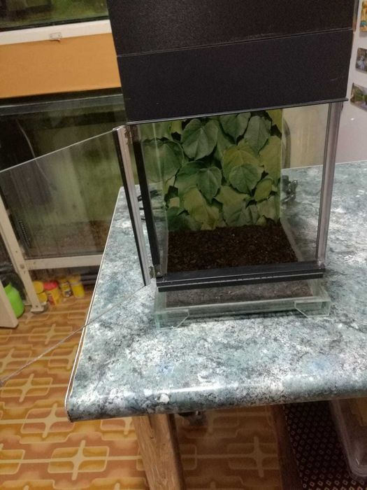 Nanoterariu de vânzare