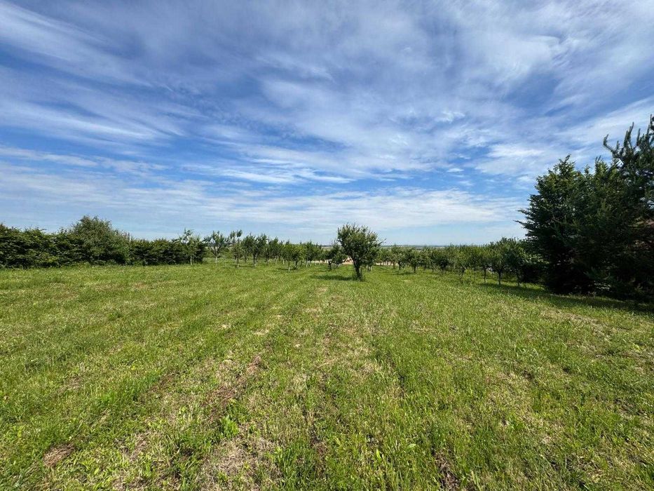 Teren intravilan 1.1 Hectare Viile Satu Mare CF utilitati