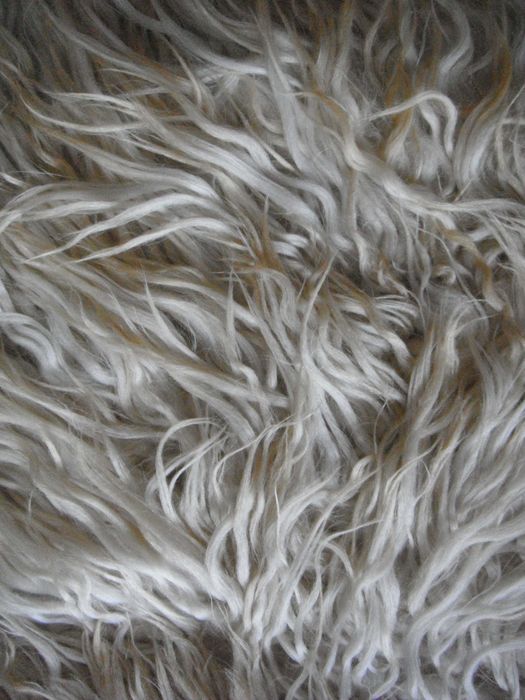 Китеници с дълъг косъм