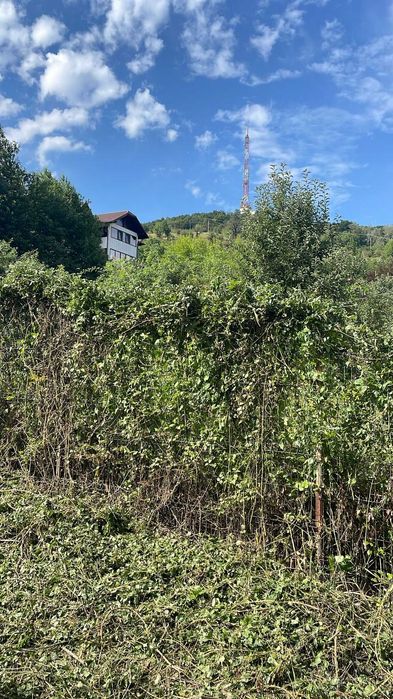 1000 mp  teren intravilan Piatra Neamt