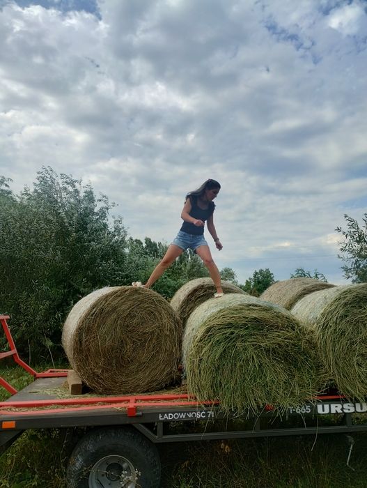 Vând baloți de lucernă sau dau la schimb