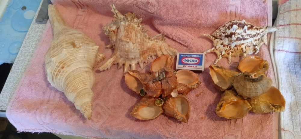 Для аквариума аксессуар смотрите фото