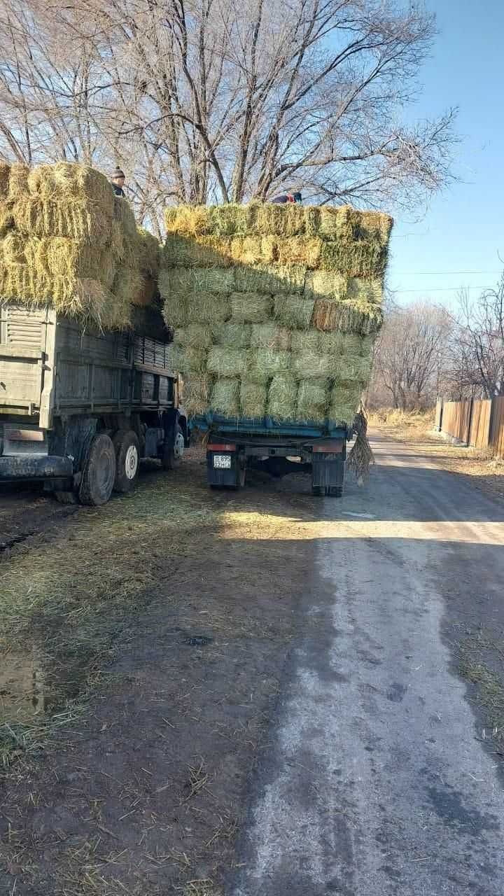 Сена Клевер Люцерна. Продаем сена в ват