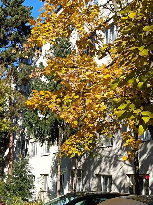 Apartament 2 camere in Manastur, Str. Gr.Alexandrescu etaj 1/4