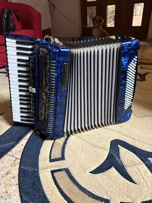 Acordeon 120 basi