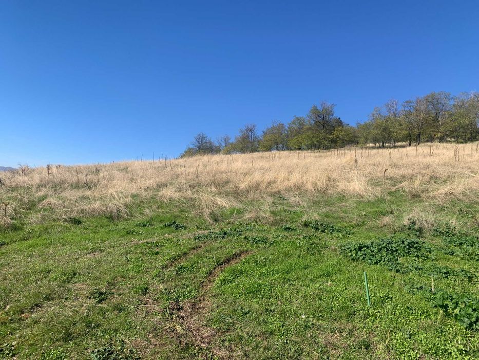 Продава се Парцел в Карлово - 9329 кв.м за 60 €/кв.м - Снимка #8