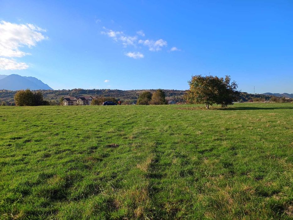 Teren intravilan Tohanu Nou la intrare in Bran langa Penny 2000mp