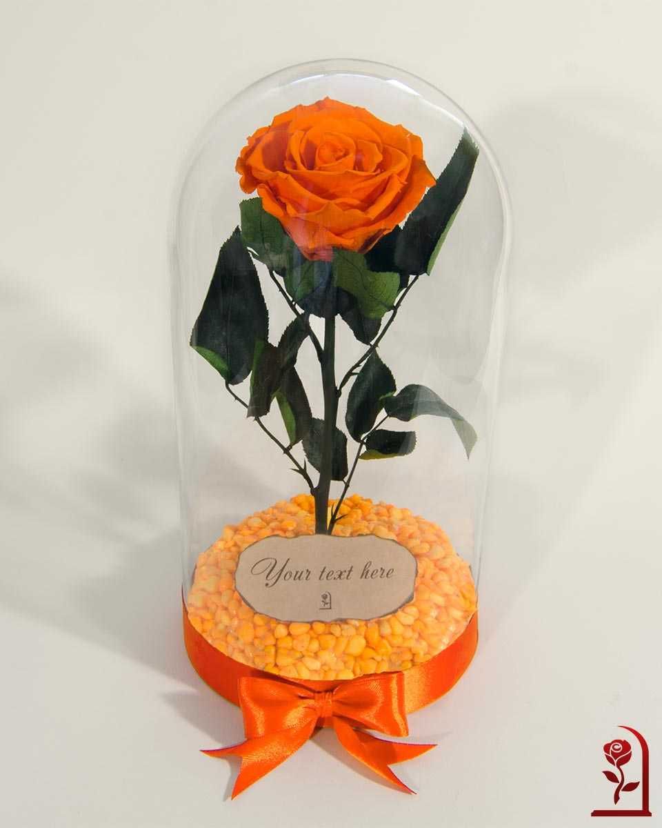 Оранжева Вечна Роза в Стъкленица / Нестандартен Подарък за Приятелка