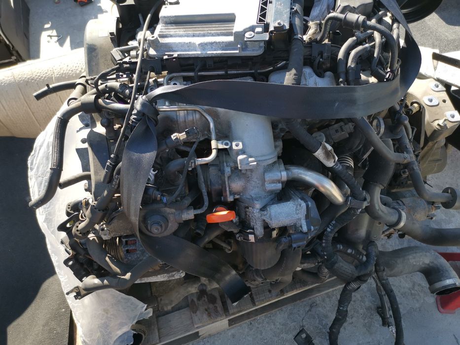 Motoare 2.0 euro 5 passat b6 golf 6