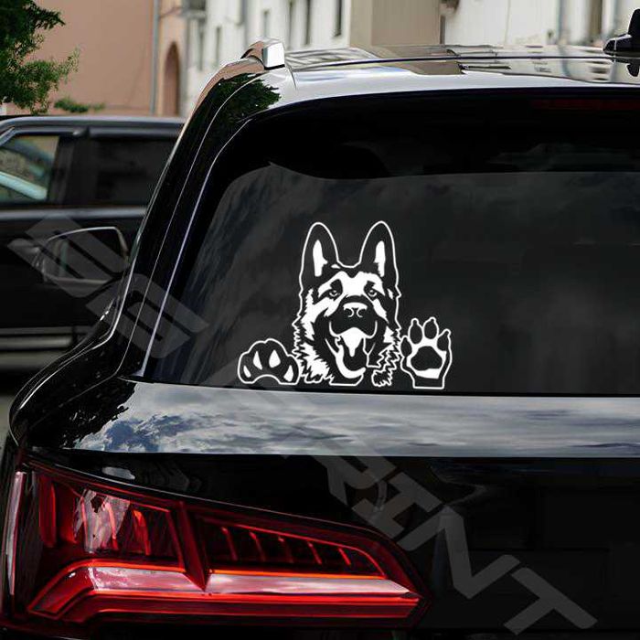 Изработка на стикери за автомобили, рекламни надписи, PVC фолио.