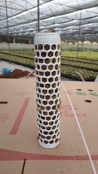 Гул учун устунча Опора для растений лиана ustun moh bilan