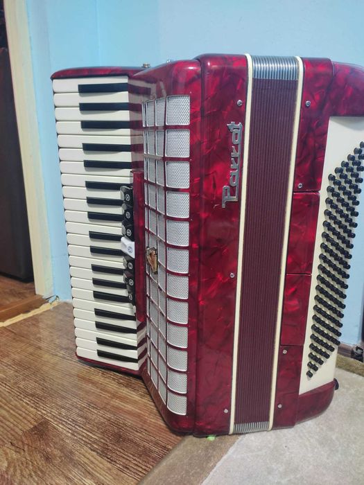 Acordeon Parrot de vânzare