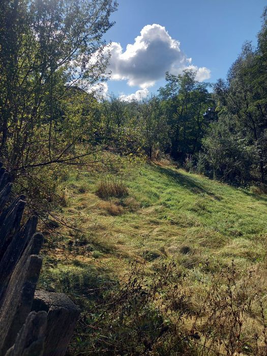 Teren de vanzare - zona linistita, pitoreasca, jud. Arges