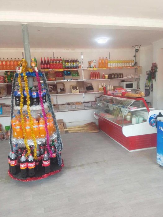 Yangibozor qaraqalpoqda uy sotiladi bizneslari bilan