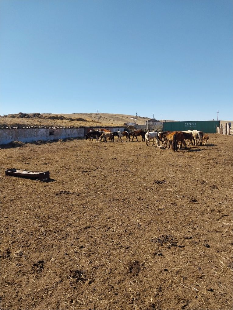 Продам ферму в Баянаульском районе, Торойгырском с/округе