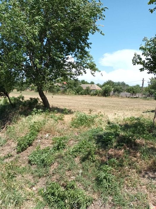 Plenita - Casa demolabila cu 1600m2 curte + 5500m2 teren arabil