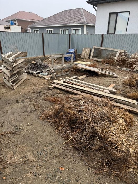 Ағаштар, ит үйі, отынға ағаштар. Тақтайлар