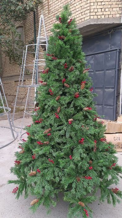 Арча янги-йил учун