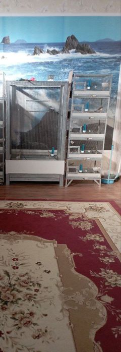 Кушлар учун Валер.