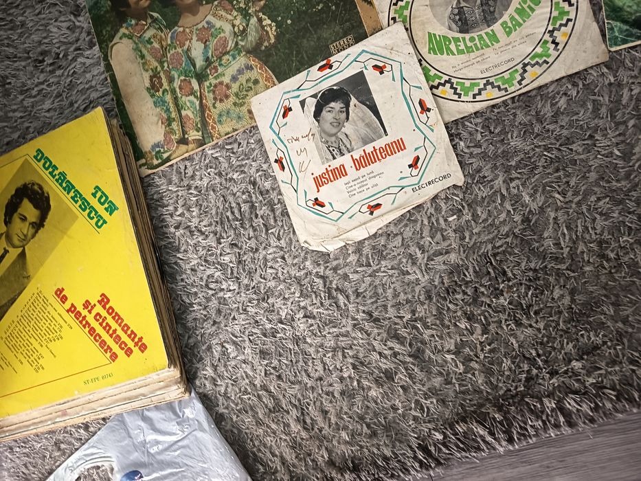 Viniluri Vechi Interpreți Români Lot de 24 Bucati