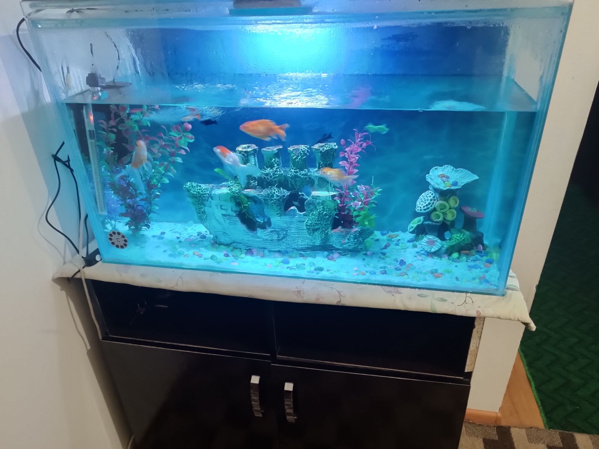 Akvarium tumbochkasi bilan