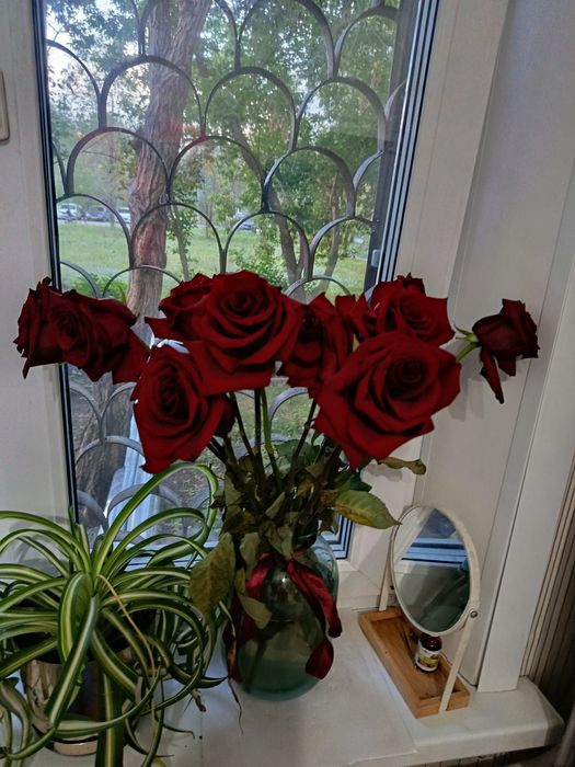 Уборка квартир,домов,