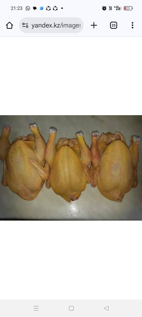 Мясо бройлера домашние