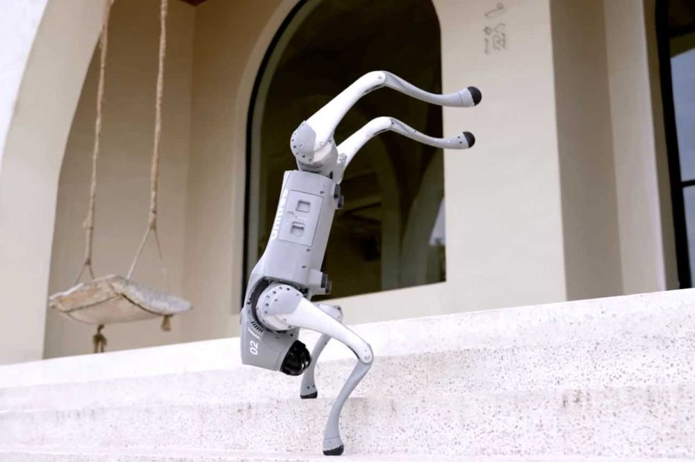 Vânzare Roboți Câini Inteligenti – Distribuitor Oficial