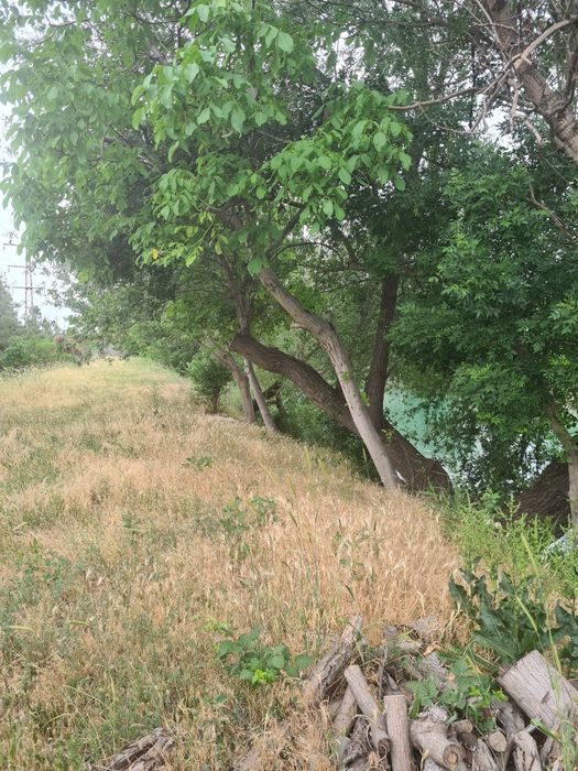 Продается земля 1.2 гектара.