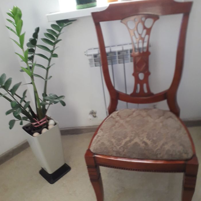 Стулья мягкие 7 штук