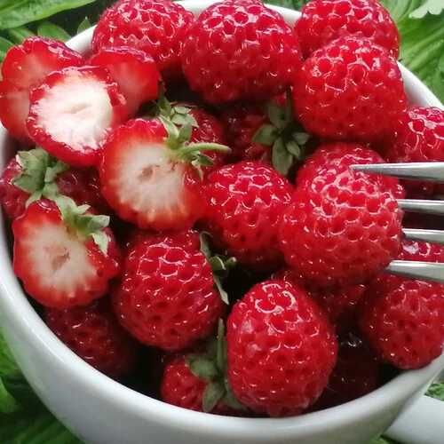 Ягодо малина  - FRAMBERRY