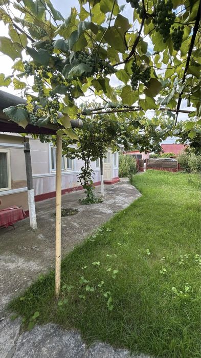 Casa în Cordun - Neamț