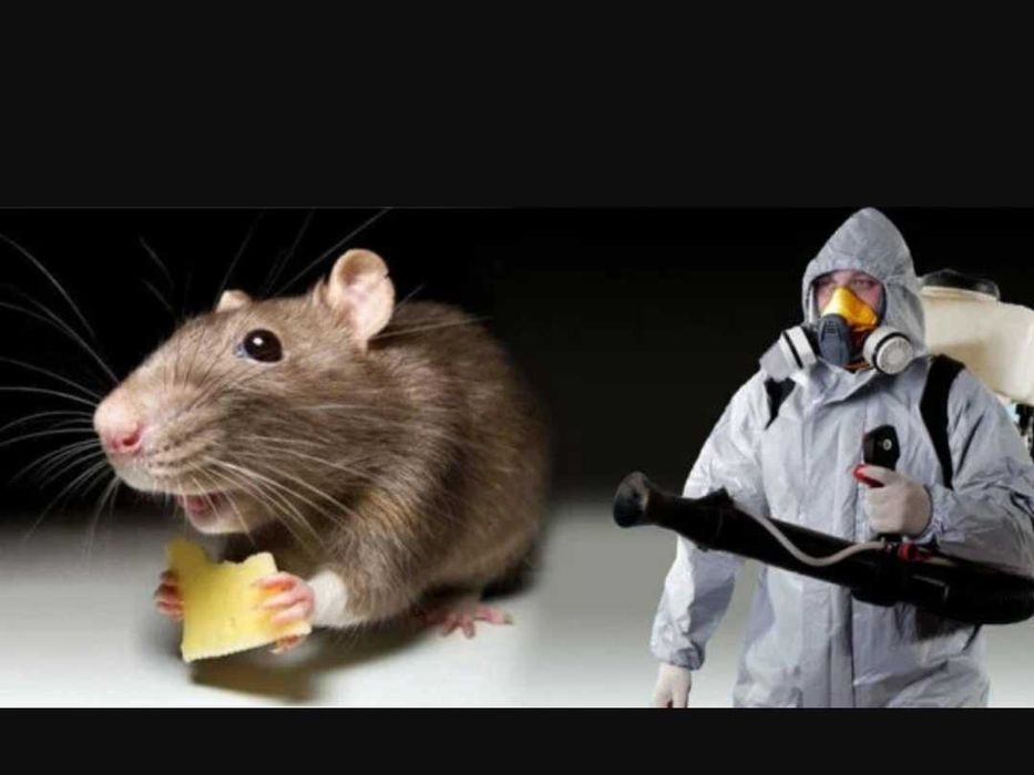 Бытовая химия д.е.з.и.н.ф.е.к.ц.и.я мыши крысы тараканы клопы туман