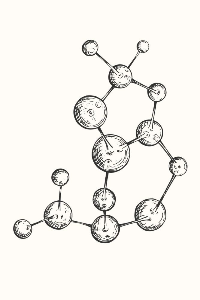 Meditatii Chimie