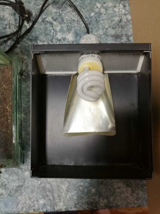 Nanoterariu de vânzare