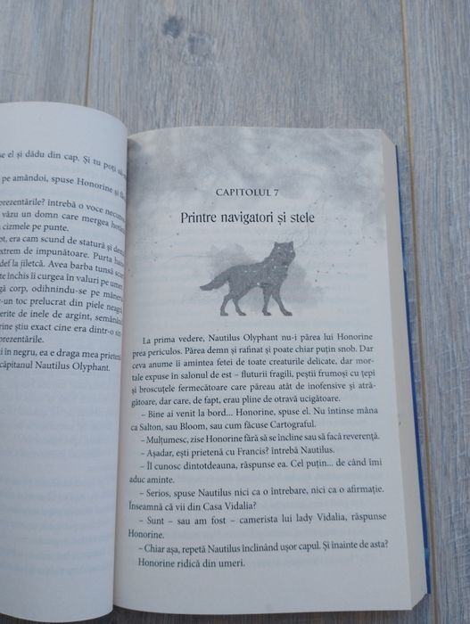 Hoțul de stele de Lindsey Becker